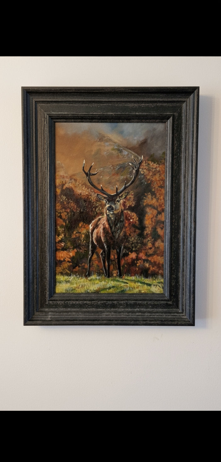 Autumn stag