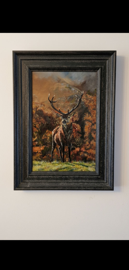 Autumn stag