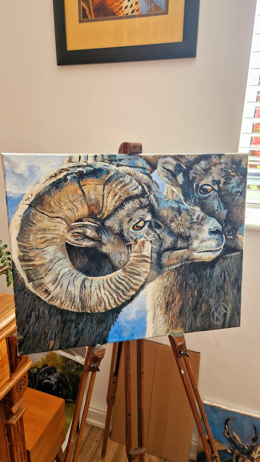 Bighorn sheep from Wyoming